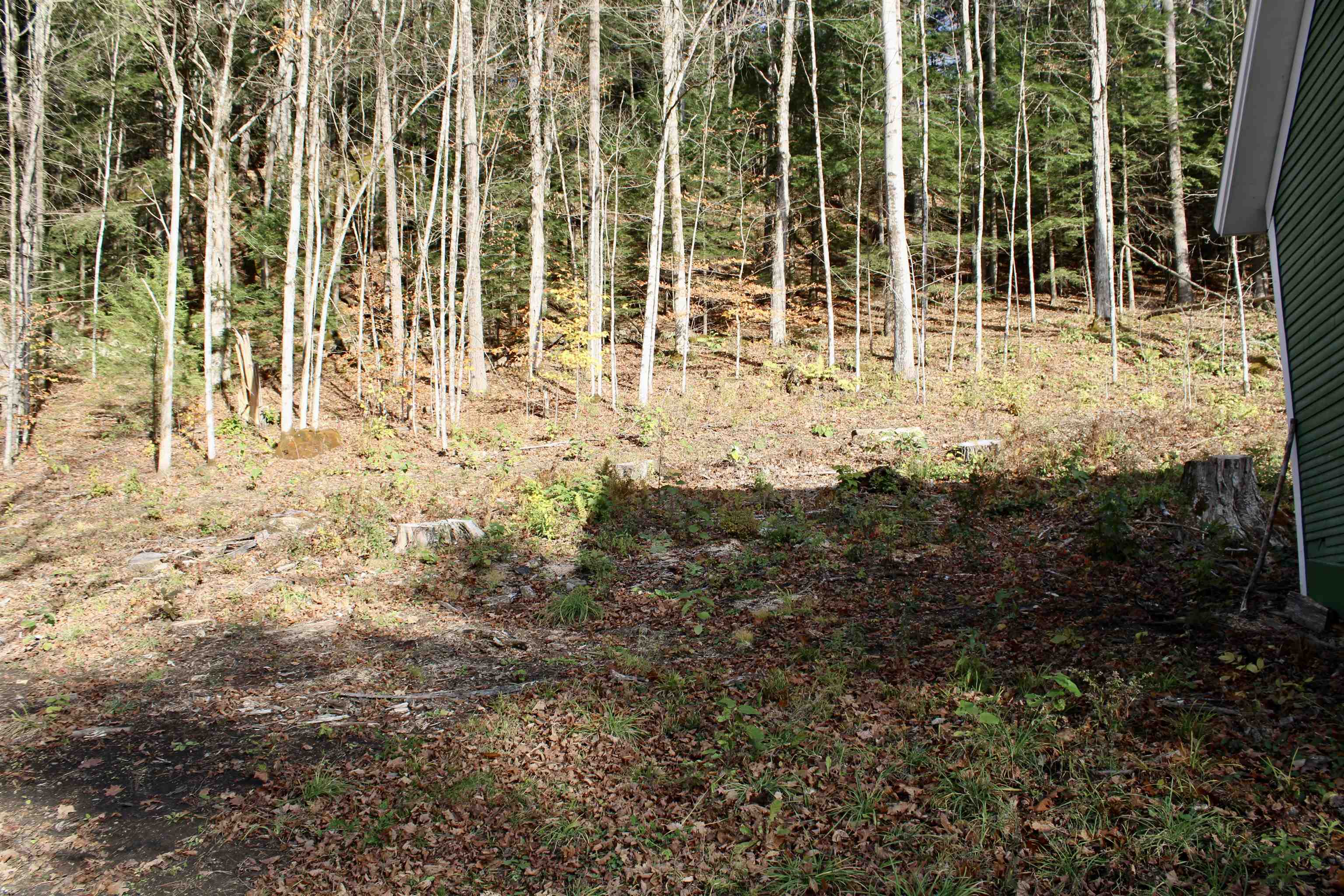 1066 Country Club Road Brandon, VT 05733 - Photo 19 of 19