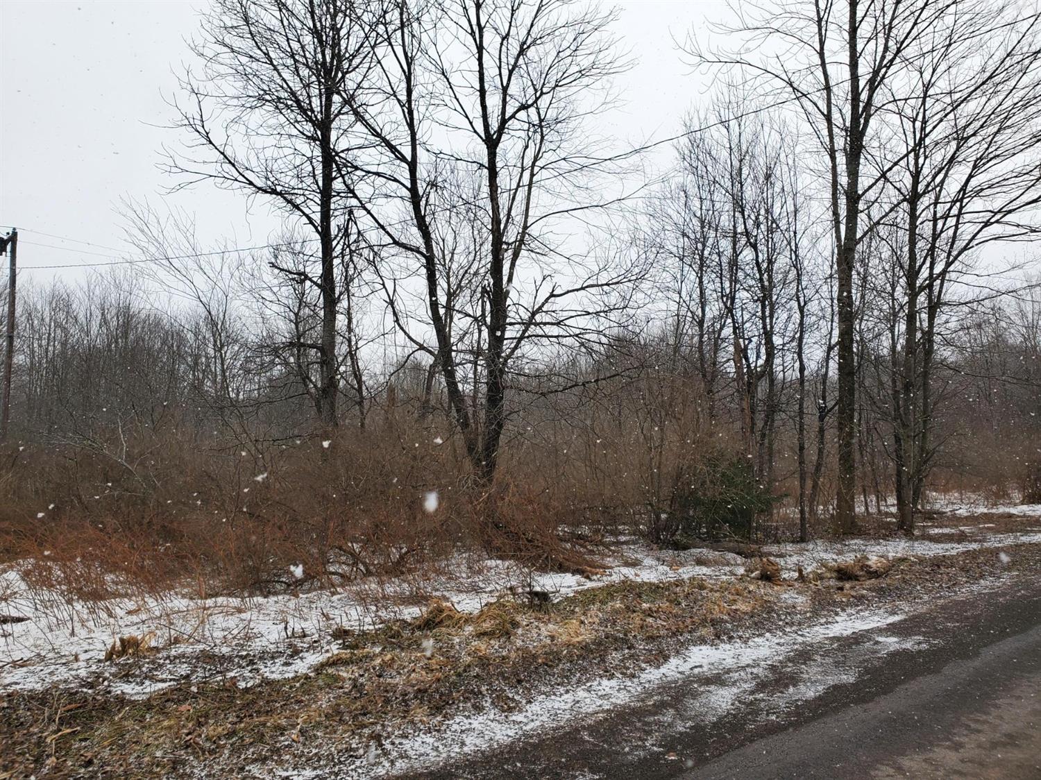 0 East Afton Road Nineveh, NY 13813 - Photo 1 of 1 Gallery Image 1