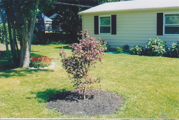 38 Richfield Road Scituate, MA 02066 - Photo 11 of 13 a front view of a house with garden
