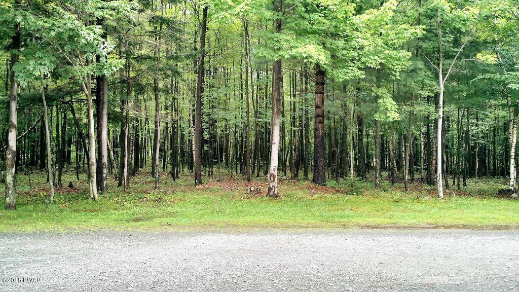 72 Schelbert Road Newfoundland, PA 18445 - Photo 53 of 55 Wooded lot (3)