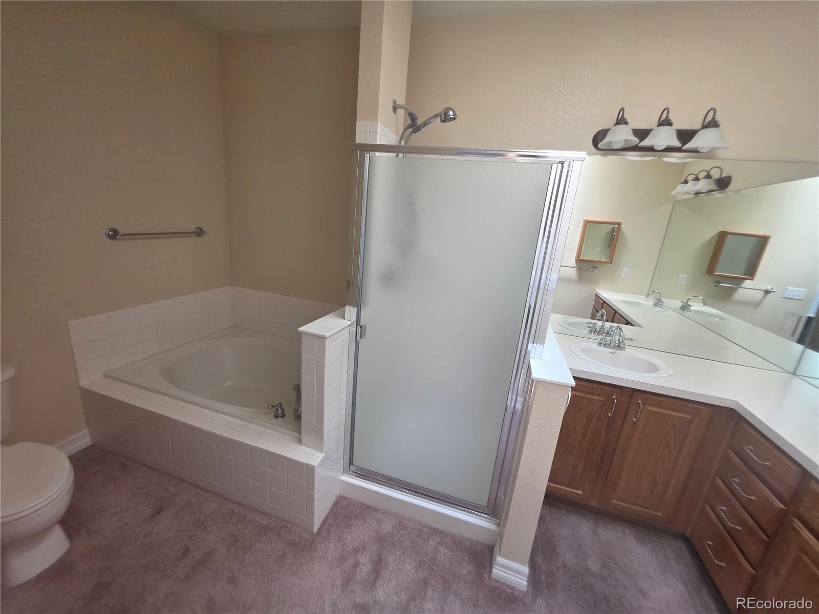 8911 Tappy Toorie Place Highlands Ranch, CO 80129 - Photo 8 of 28 a bathroom with a sink a toilet and shower