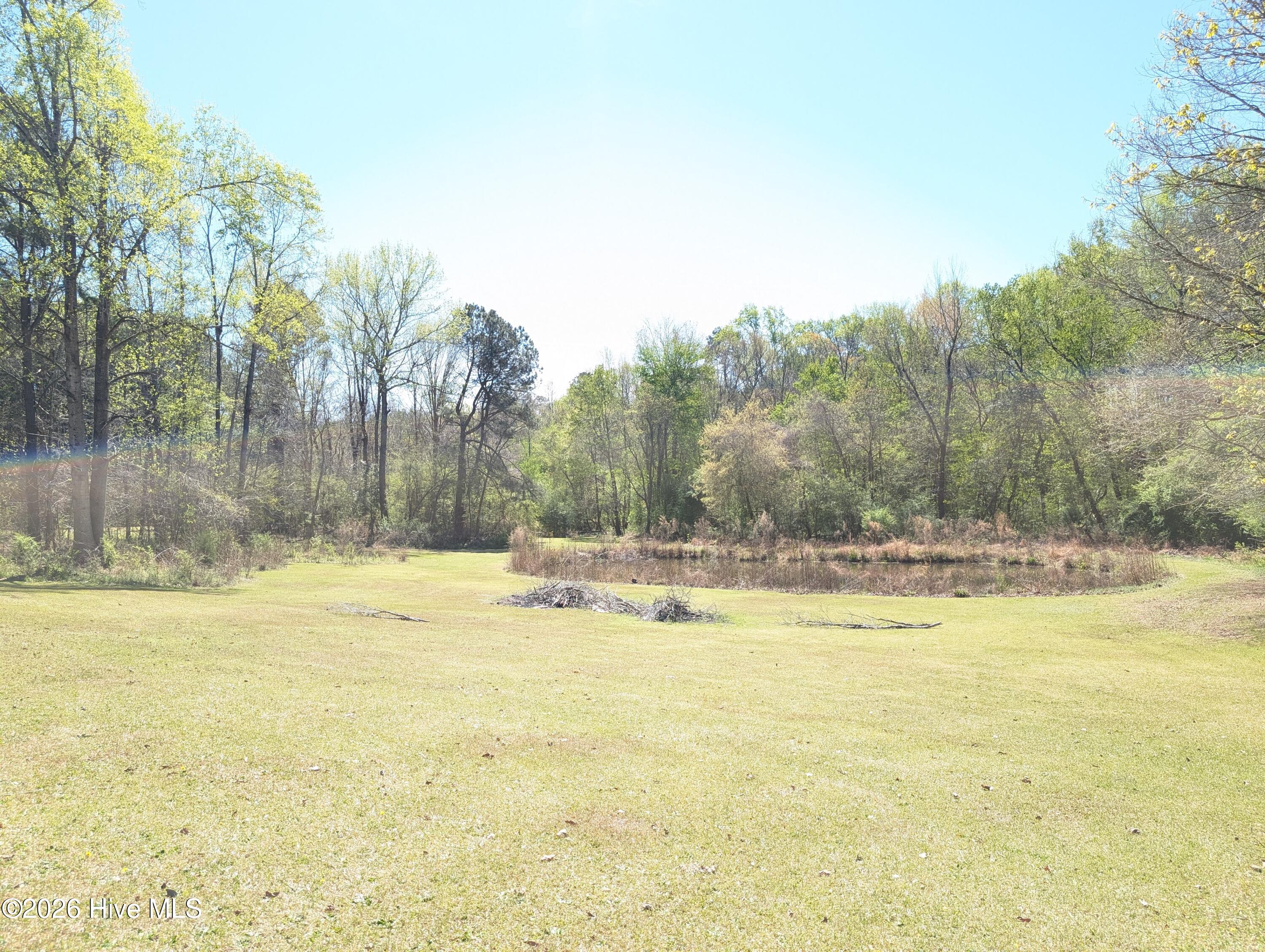 5493 Autry Road Rocky Mount, NC 27803 - Photo 4 of 6 Pond