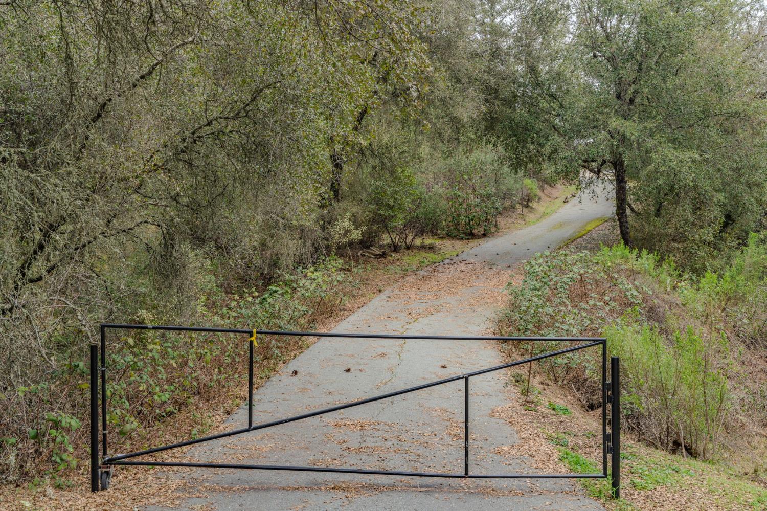 13890 Shake Ridge Road Sutter Creek, CA 95685 - Photo 48 of 66 Gallery Image 48