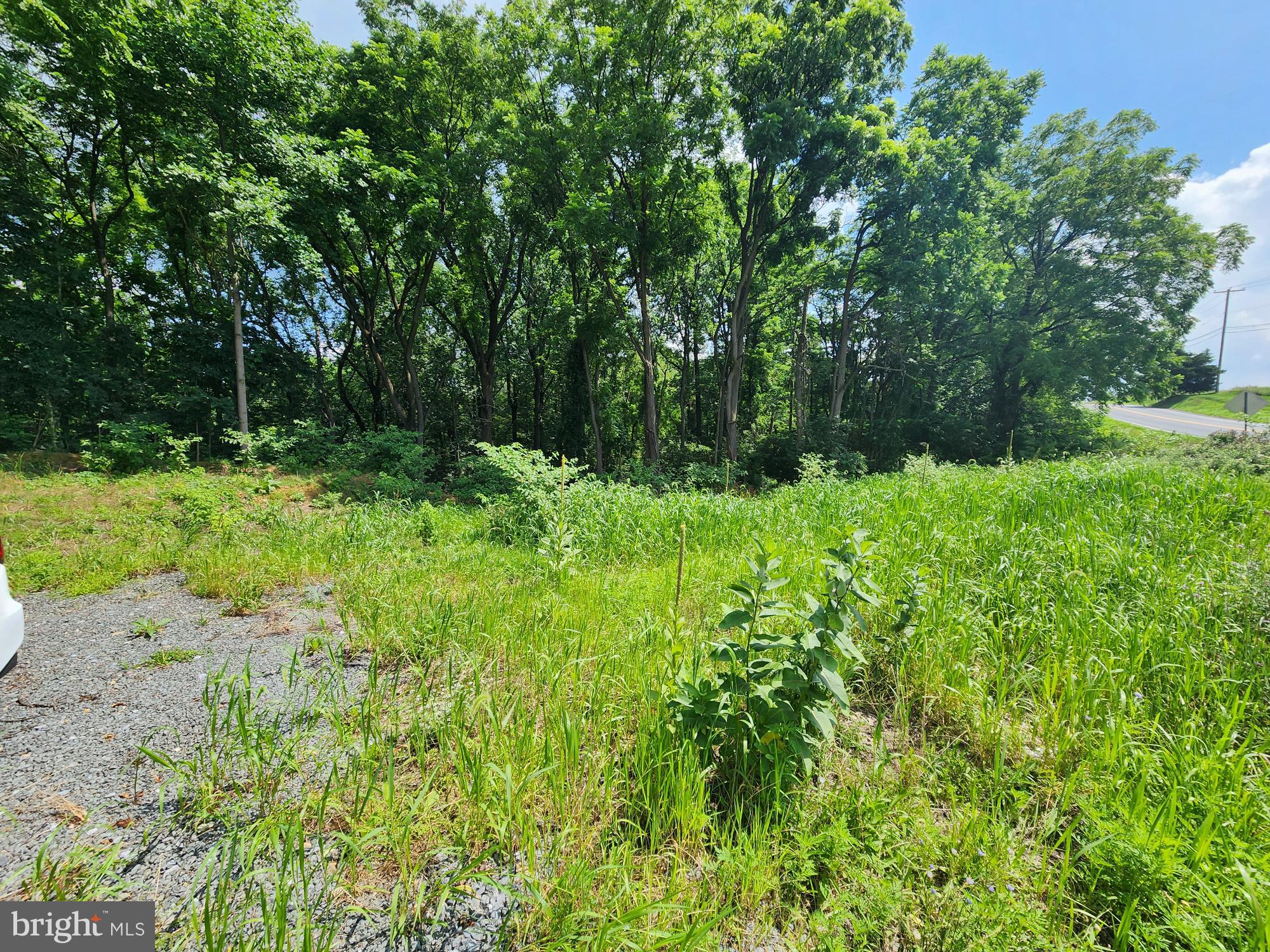 0 Brownsville Road Sinking Spring, PA 19608 - Photo 3 of 7 a view of backyard with green space