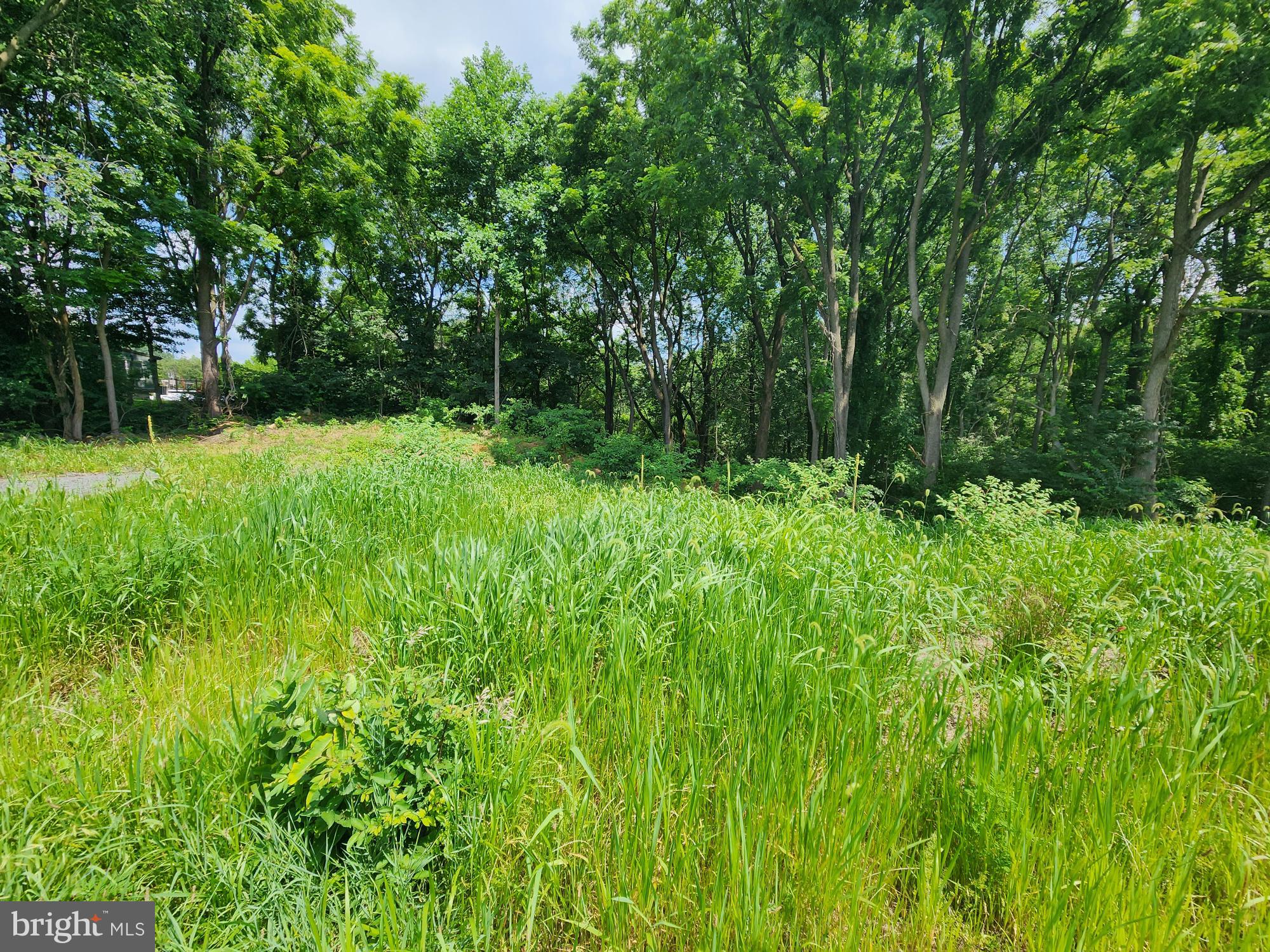 0 Brownsville Road Sinking Spring, PA 19608 - Photo 4 of 7 a view of backyard with green space