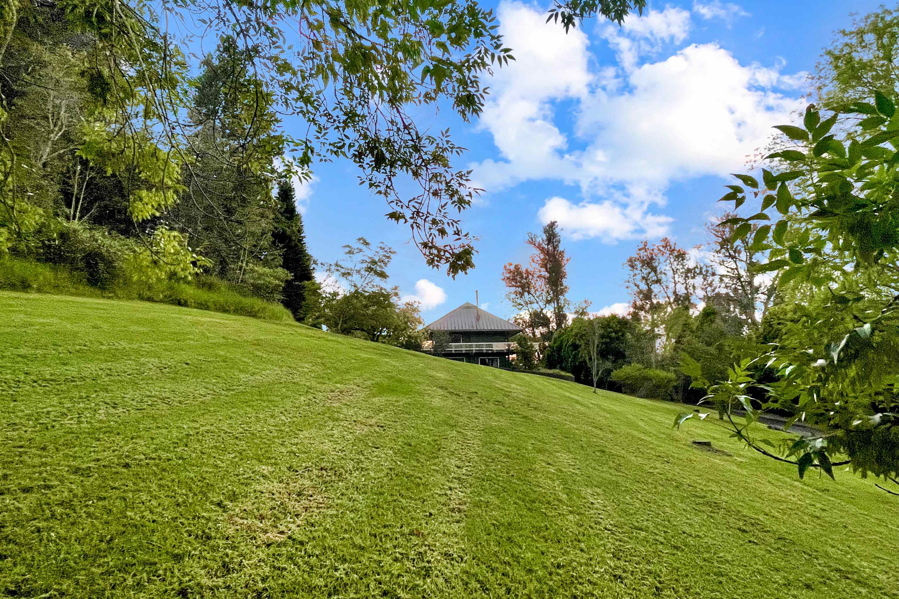 2400 Piiholo Road Makawao, HI 96768 - Photo 11 of 45 a view of a big yard with plants and large trees