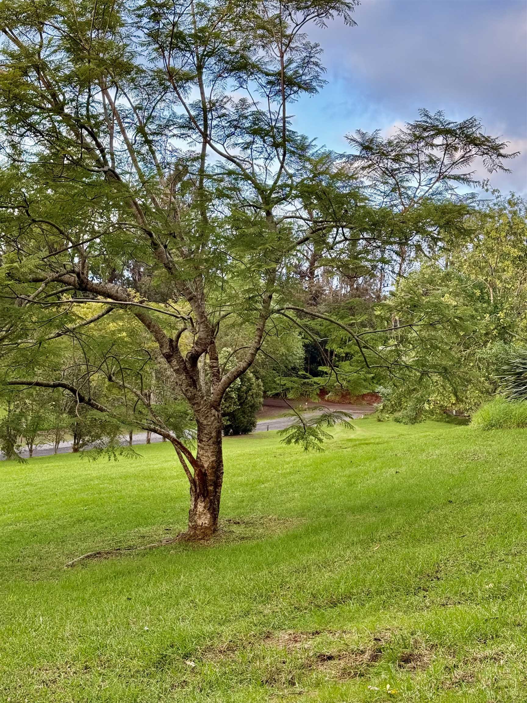 2400 Piiholo Road Makawao, HI 96768 - Photo 14 of 45