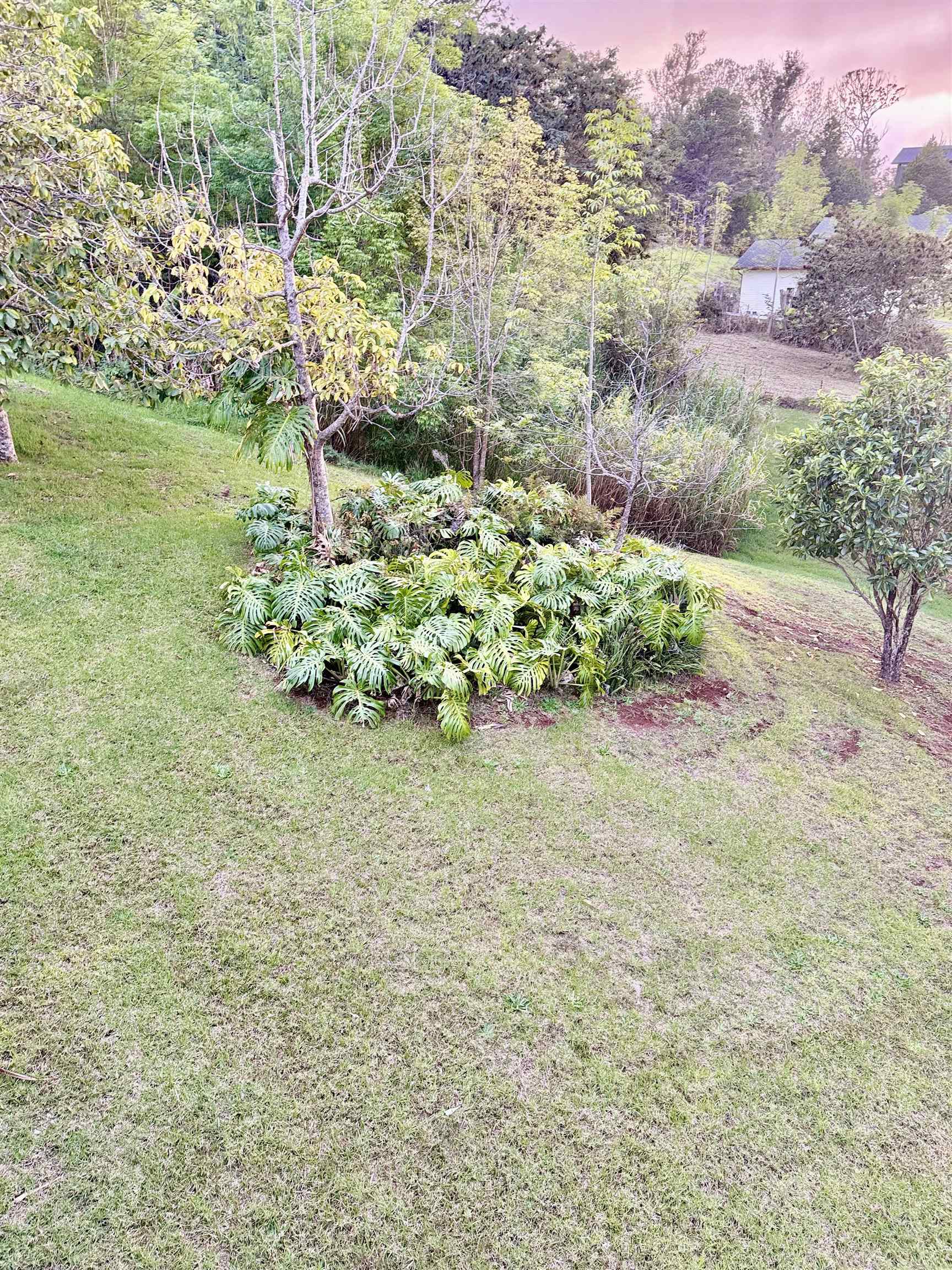 2400 Piiholo Road Makawao, HI 96768 - Photo 17 of 45 a view of a garden with an outdoor space