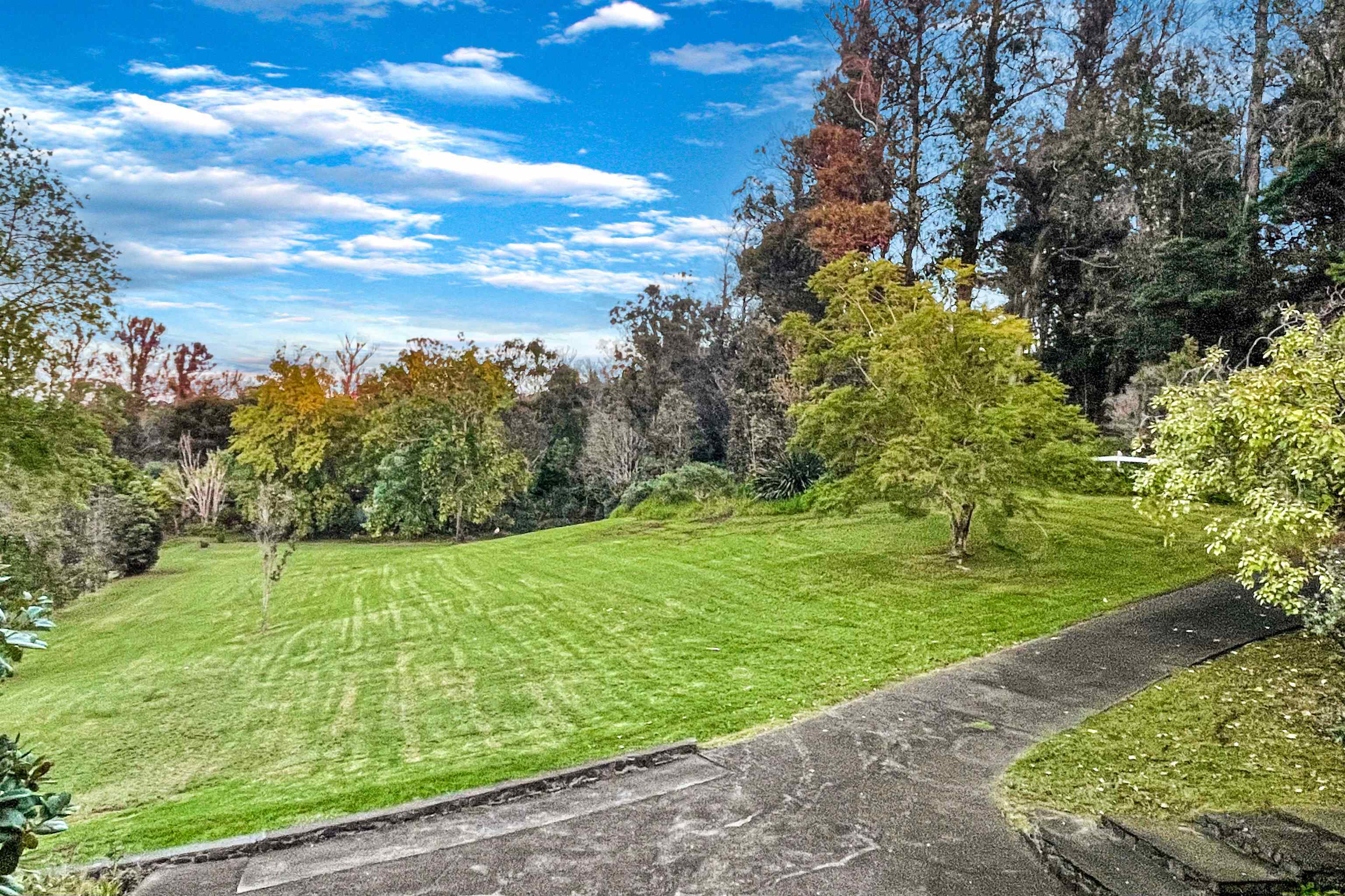 2400 Piiholo Road Makawao, HI 96768 - Photo 40 of 45 a view of a big yard with plants and large trees