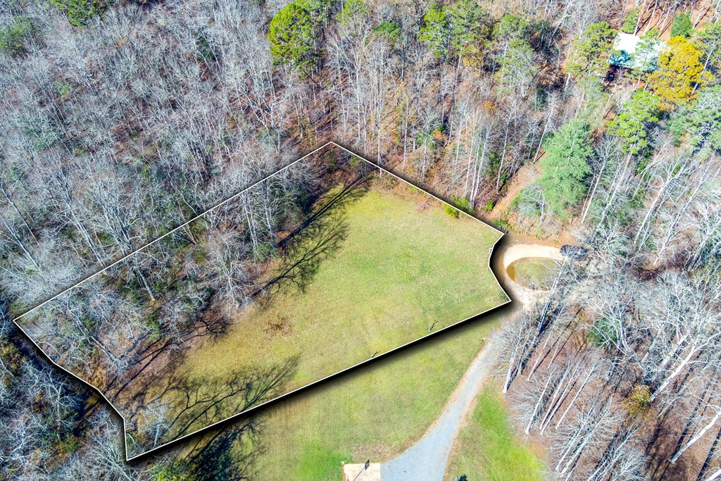 0 Pine Grove Blue Ridge, GA 30513 - Photo 4 of 23 Gallery Image 4
