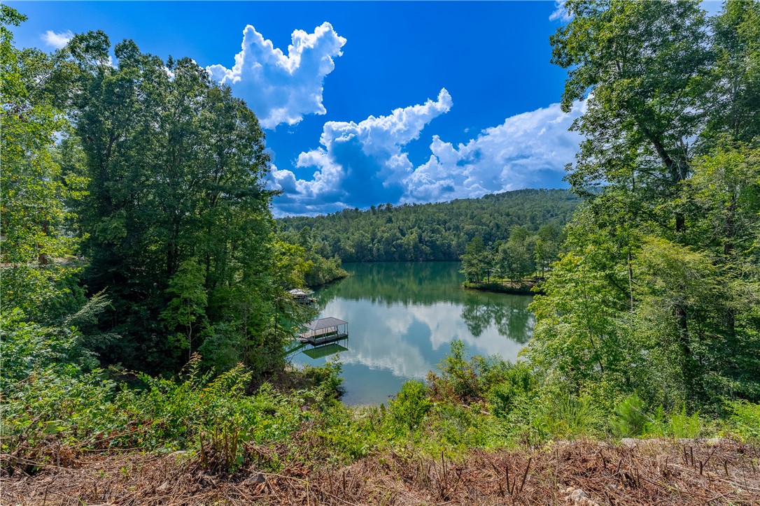 431 Horse Pasture Road Sunset, SC 29685 - Photo 13 of 19