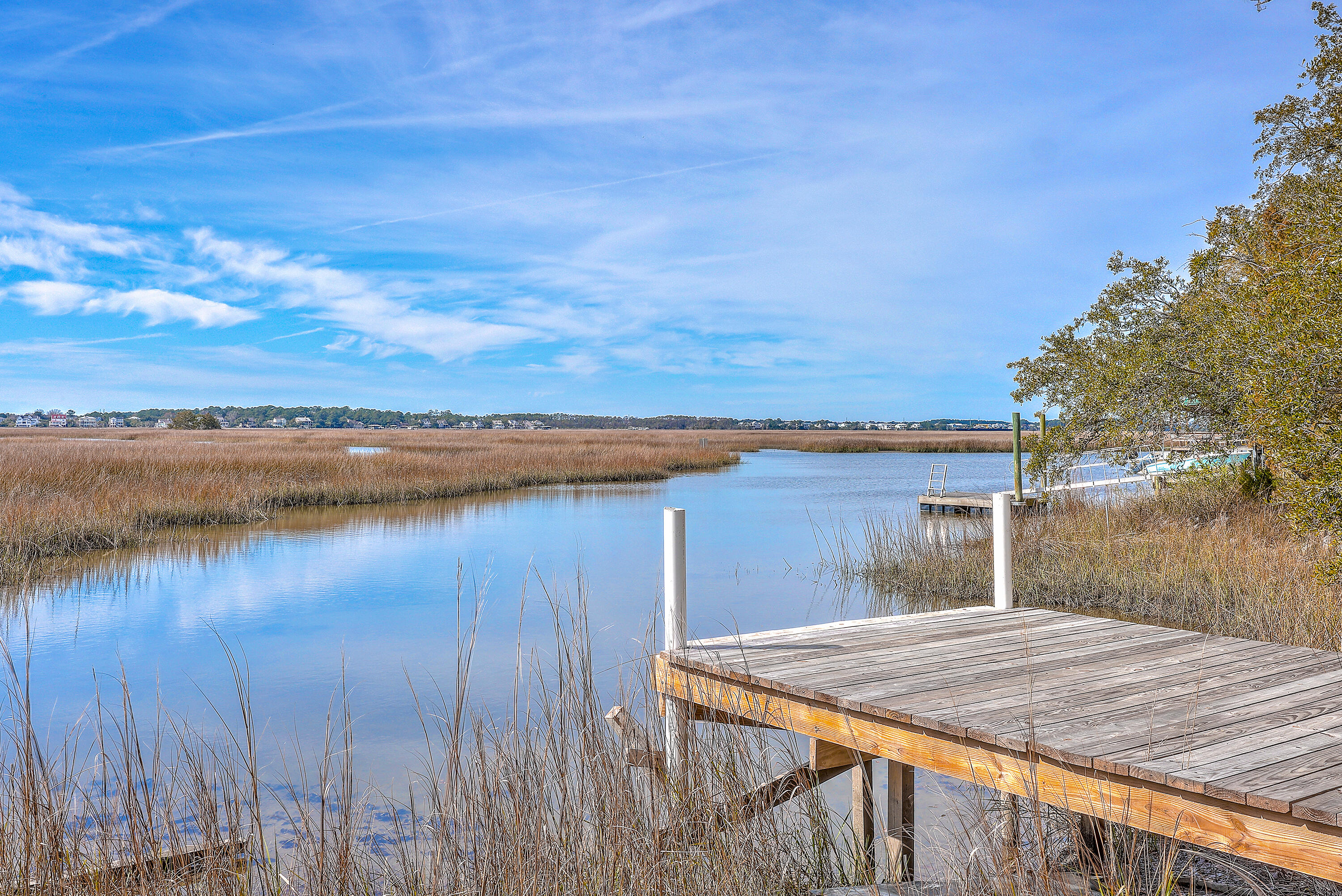 185 Wappoo Road Charleston, SC 29407 - Photo 10 of 65 ZYN_0274_75_76_77_78_79_80