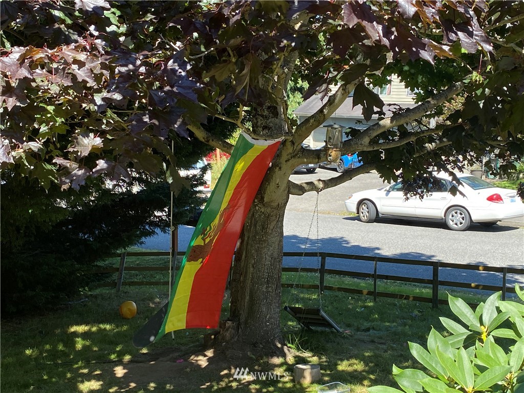 2105 Michigan Street Bellingham, WA 98229 - Photo 18 of 38 a view of a park with large trees
