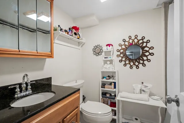 a bathroom with a sink a vanity and a toilet