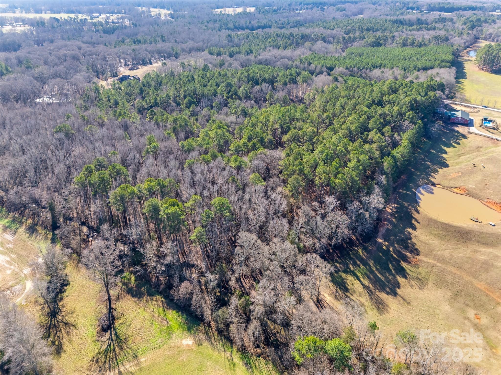 9-ac Faires Road Rock Hill, SC 29730 - Photo 8 of 16 Gallery Image 8
