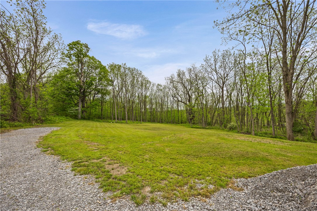 9380 Big Tree Road Richmond, NY 14466 - Photo 23 of 25