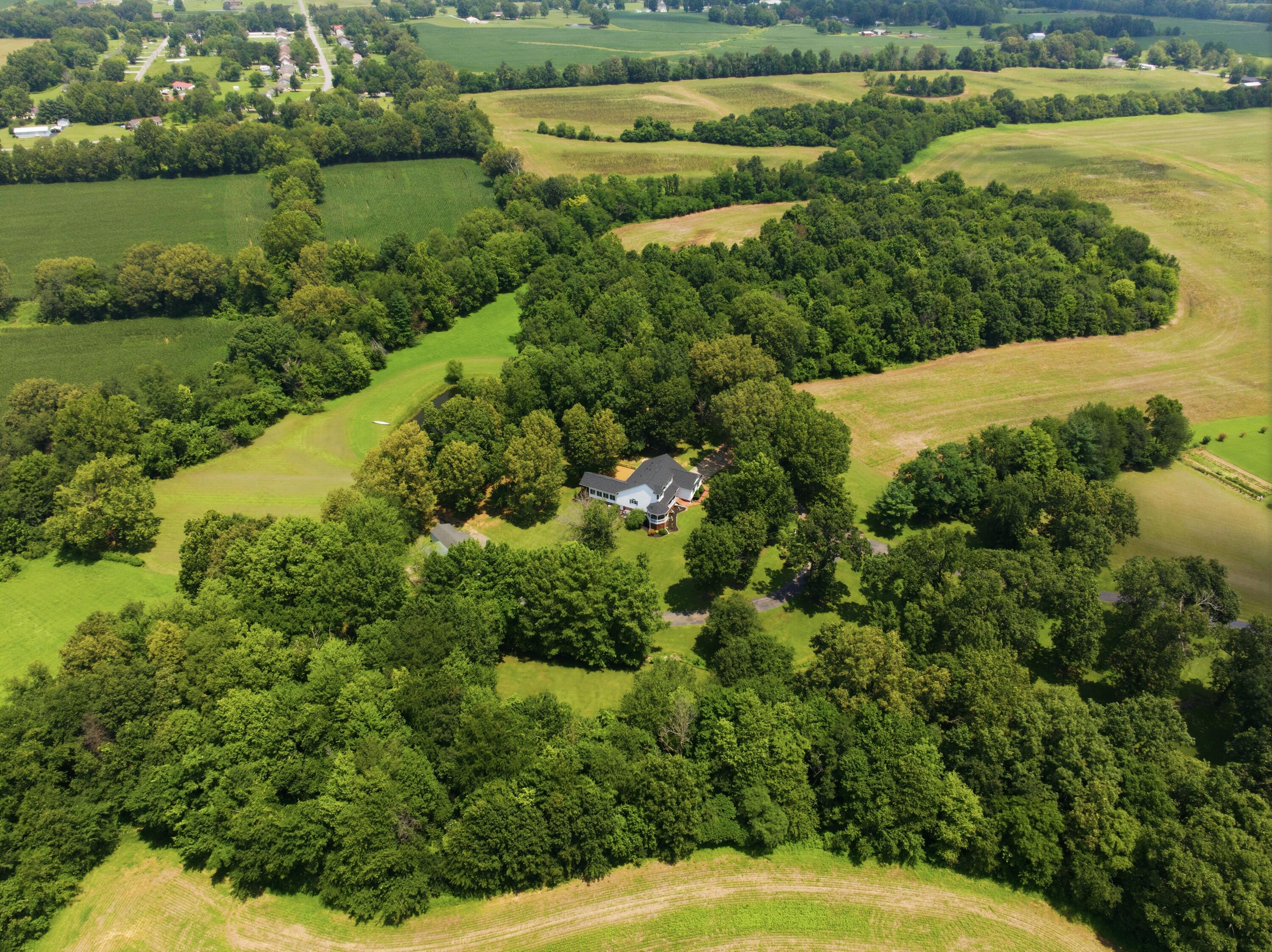 504 Hay Market Corner Road Mayfield, KY 42066 - Photo 46 of 47 DJI_20260713080351_0379_D-44