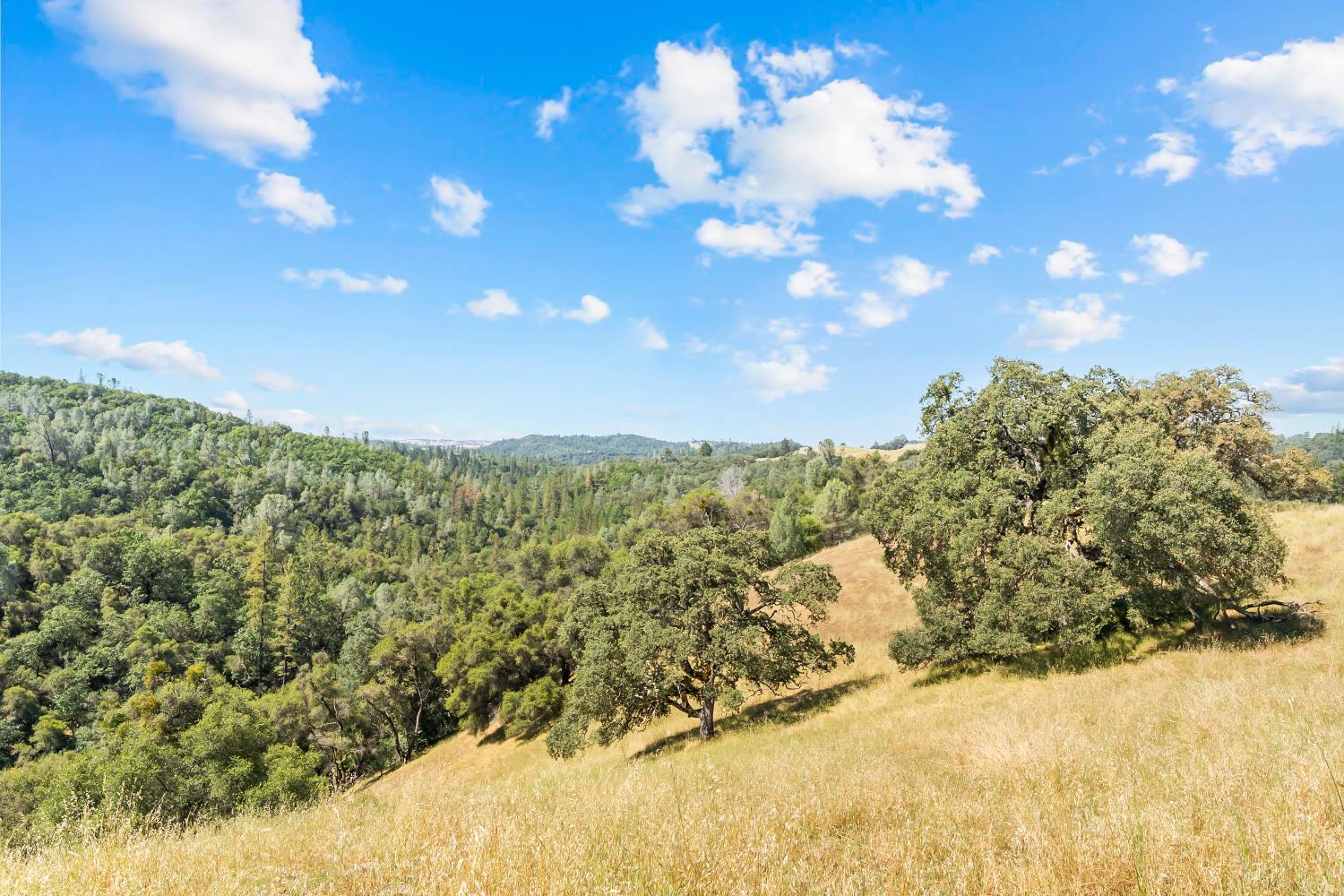 12850 Fiddletown Road Plymouth, CA 95669 - Photo 23 of 88