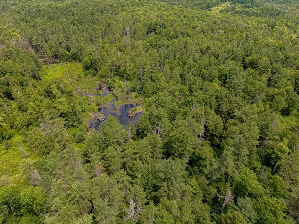 $269,000 | Sheff Road, South New Berlin, NY 13843