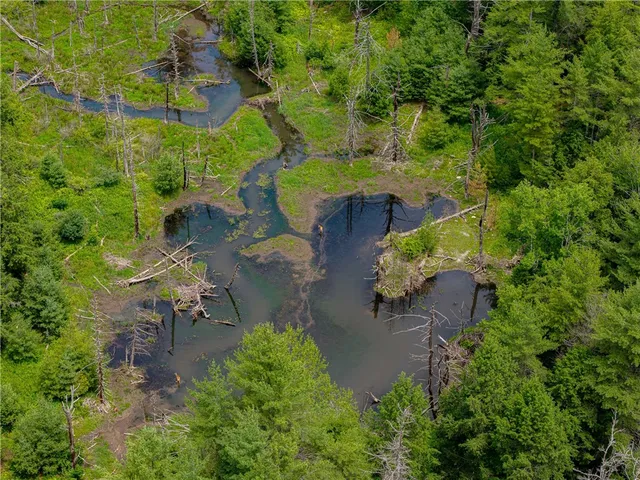 $269,000 | Sheff Road, South New Berlin, NY 13843