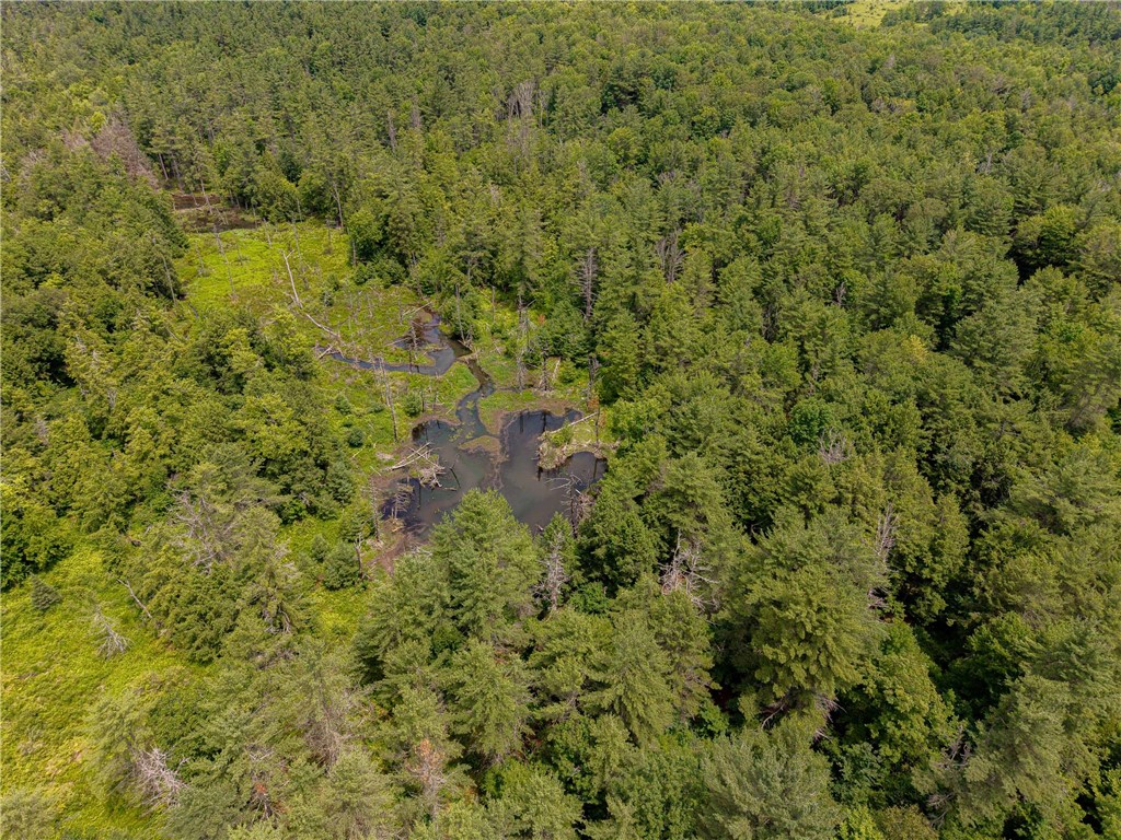 Sheff Road South New Berlin, NY 13843 - Photo 14 of 35