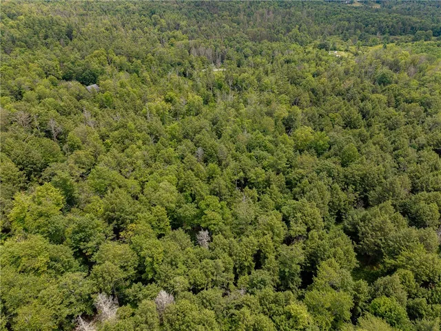 $269,000 | Sheff Road, South New Berlin, NY 13843