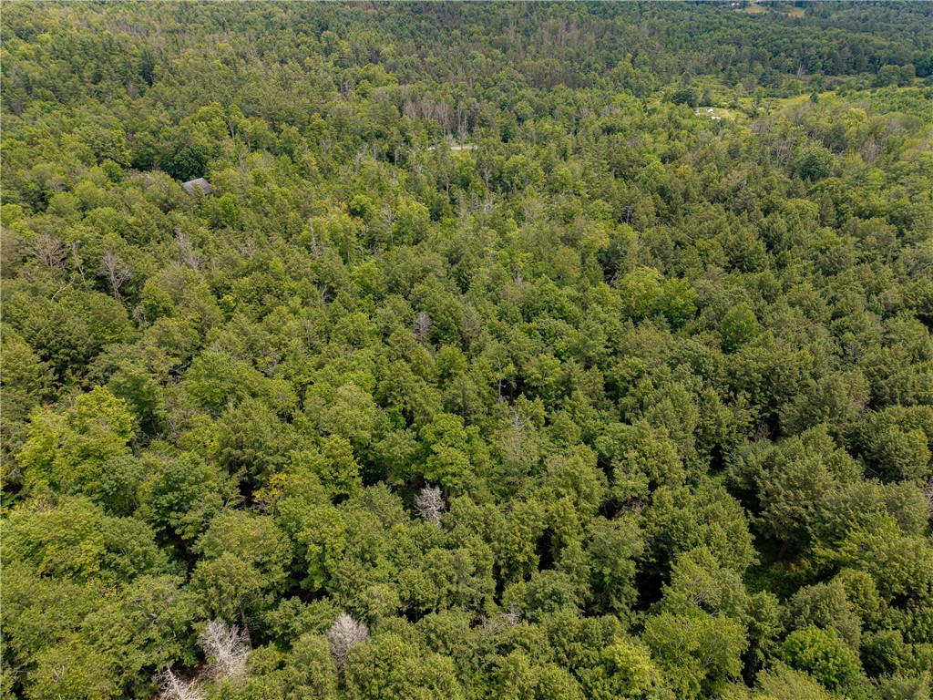 Sheff Road South New Berlin, NY 13843 - Photo 16 of 35