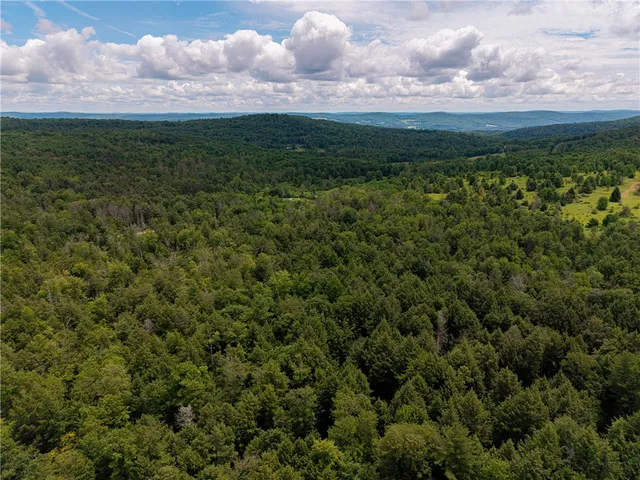 $269,000 | Sheff Road, South New Berlin, NY 13843