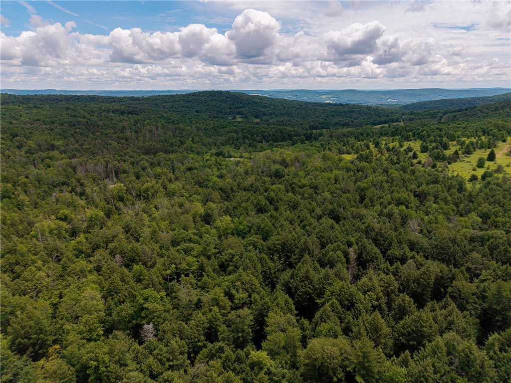 Sheff Road South New Berlin, NY 13843 - Photo 17 of 35