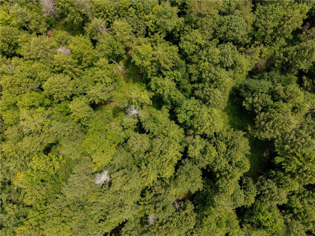 Sheff Road South New Berlin, NY 13843 - Photo 18 of 35