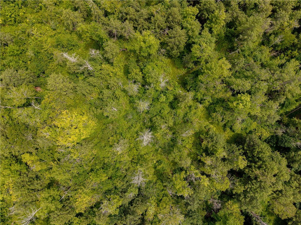 Sheff Road South New Berlin, NY 13843 - Photo 19 of 35