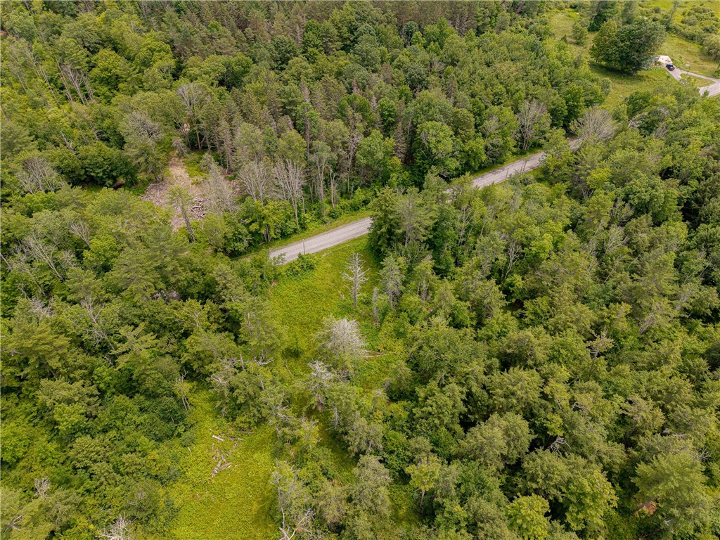 Sheff Road South New Berlin, NY 13843 - Photo 20 of 35