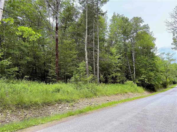 $269,000 | Sheff Road, South New Berlin, NY 13843