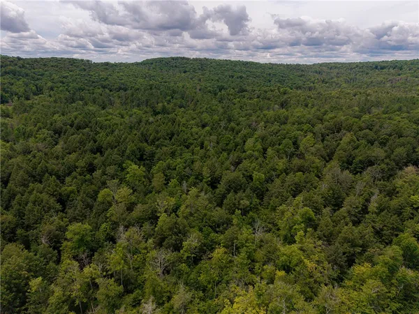 $269,000 | Sheff Road, South New Berlin, NY 13843