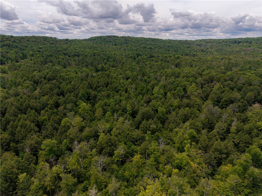 Sheff Road South New Berlin, NY 13843 - Photo 21 of 35