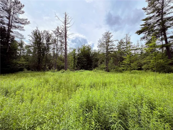 $269,000 | Sheff Road, South New Berlin, NY 13843