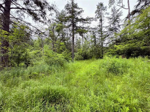 $269,000 | Sheff Road, South New Berlin, NY 13843