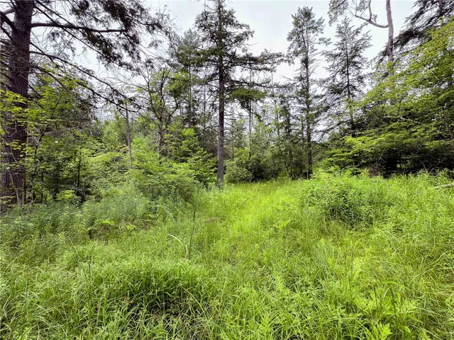 $269,000 | Sheff Road, South New Berlin, NY 13843