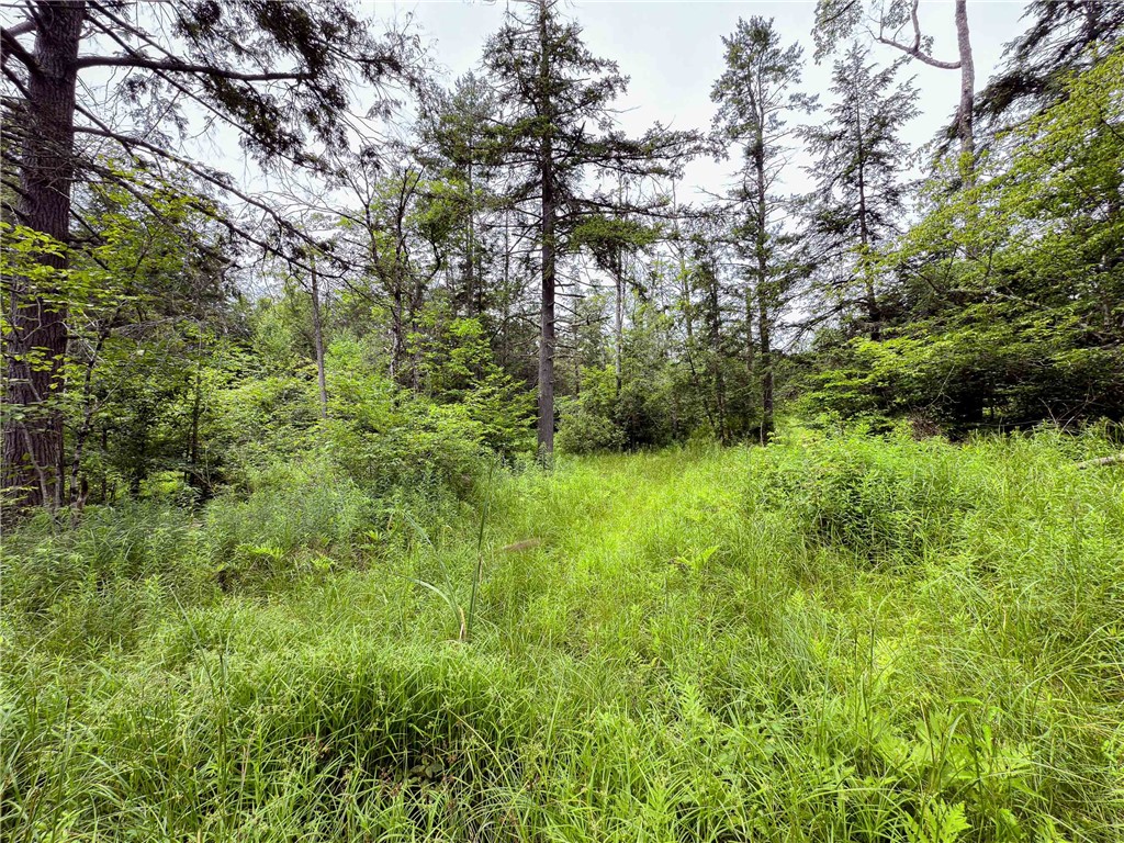 Sheff Road South New Berlin, NY 13843 - Photo 25 of 35