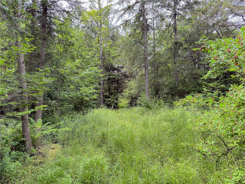 Sheff Road South New Berlin, NY 13843 - Photo 26 of 35