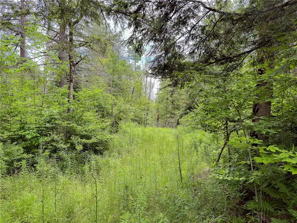 $269,000 | Sheff Road, South New Berlin, NY 13843