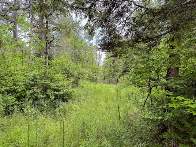 $269,000 | Sheff Road, South New Berlin, NY 13843