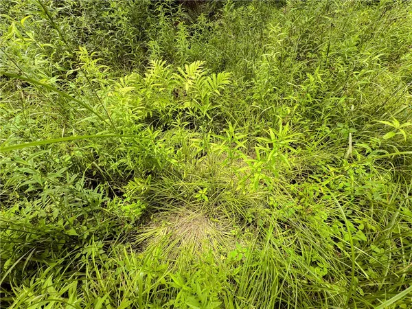 $269,000 | Sheff Road, South New Berlin, NY 13843