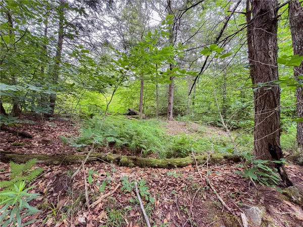 $269,000 | Sheff Road, South New Berlin, NY 13843