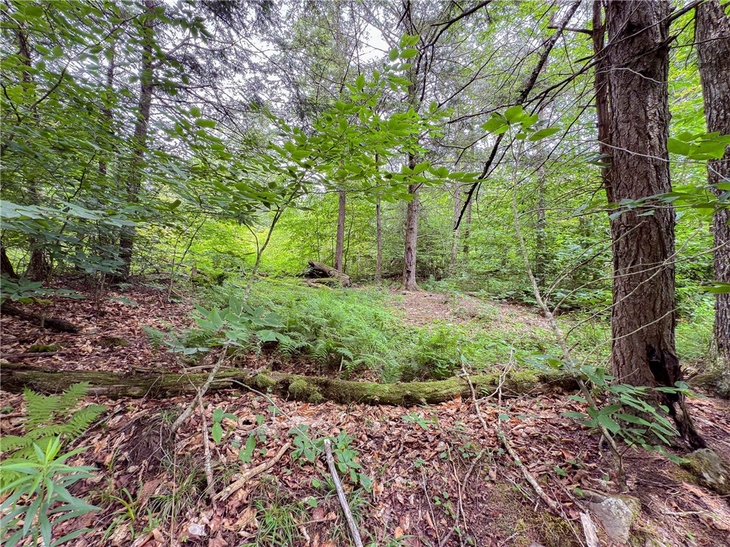 Sheff Road South New Berlin, NY 13843 - Photo 29 of 35