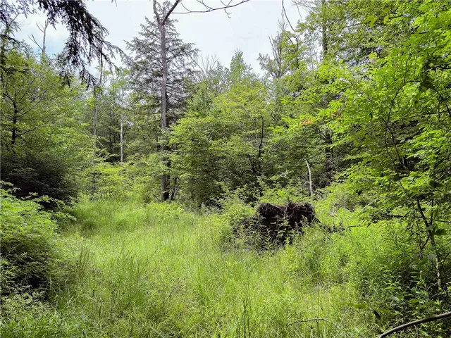 $269,000 | Sheff Road, South New Berlin, NY 13843