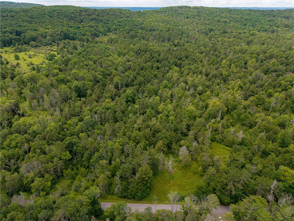 Sheff Road South New Berlin, NY 13843 - Photo 3 of 35