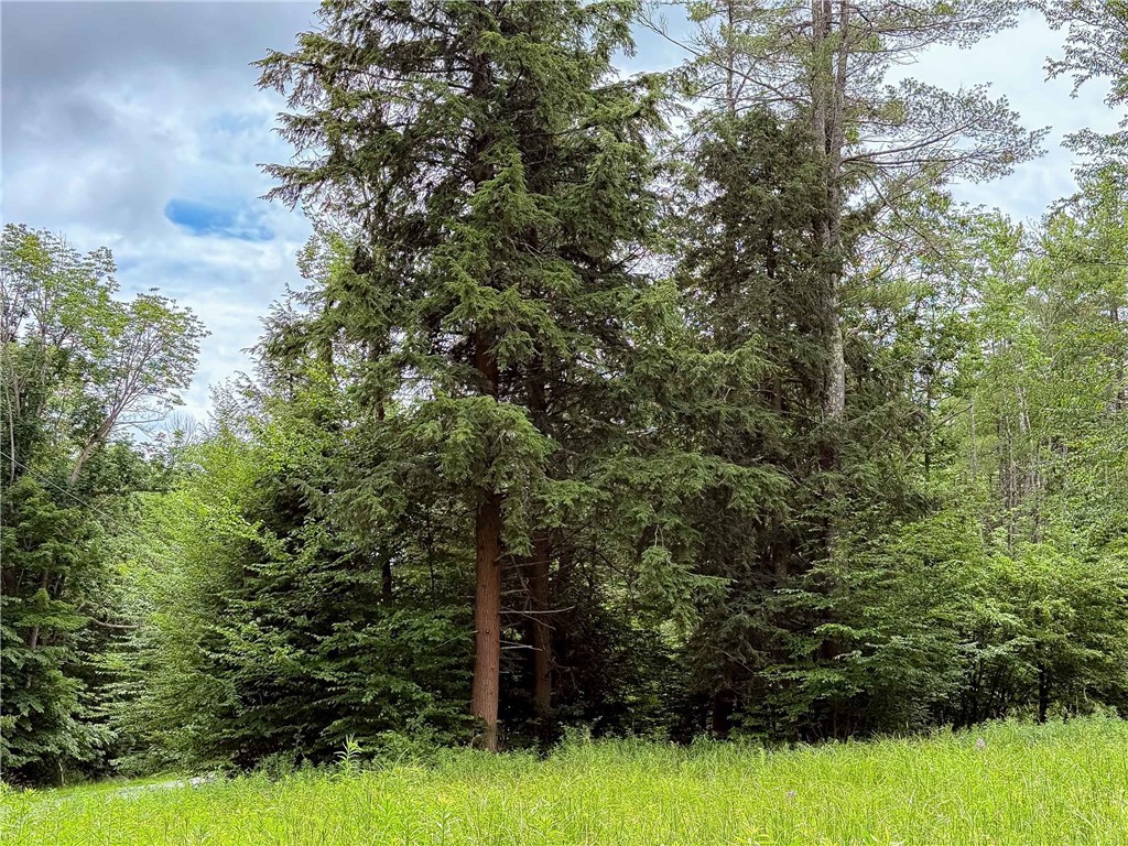 Sheff Road South New Berlin, NY 13843 - Photo 31 of 35