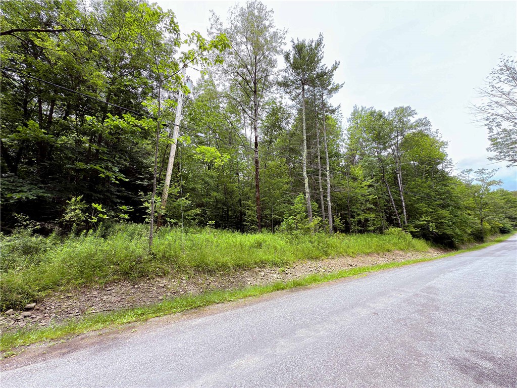 Sheff Road South New Berlin, NY 13843 - Photo 32 of 35