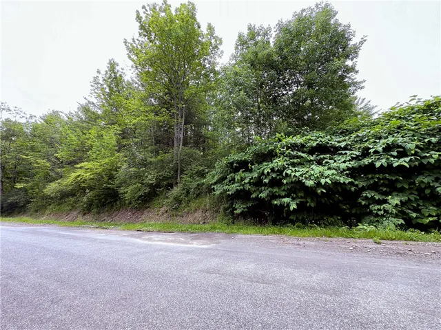 $269,000 | Sheff Road, South New Berlin, NY 13843